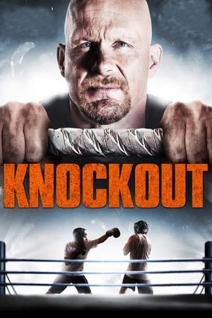 Born to Fight 2011 Hindi Dual Audio 480p BluRay 300MB - Movierulz