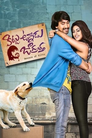 Kittu Unnadu Jagratha 2017 Hindi Dual Audio 720p UnCut HDRip [1.1GB] - Movierulz